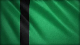 Delhi Sultanate flag
